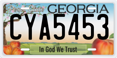 GA license plate CYA5453