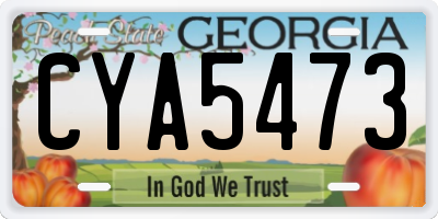 GA license plate CYA5473