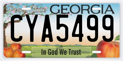 GA license plate CYA5499