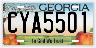 GA license plate CYA5501