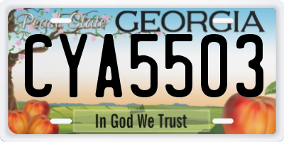 GA license plate CYA5503