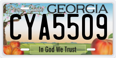 GA license plate CYA5509