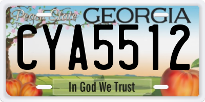 GA license plate CYA5512