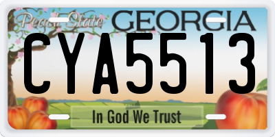 GA license plate CYA5513