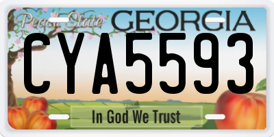 GA license plate CYA5593