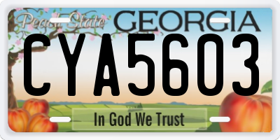 GA license plate CYA5603