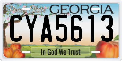 GA license plate CYA5613