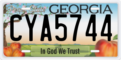 GA license plate CYA5744