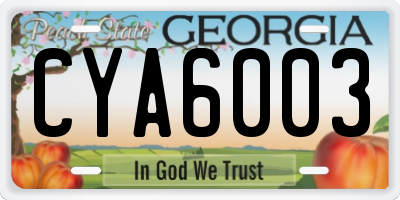 GA license plate CYA6003