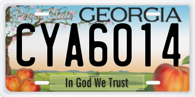 GA license plate CYA6014