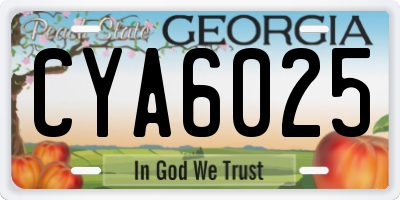 GA license plate CYA6025