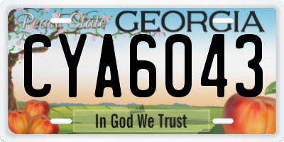 GA license plate CYA6043