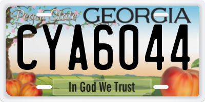 GA license plate CYA6044