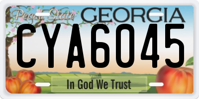 GA license plate CYA6045