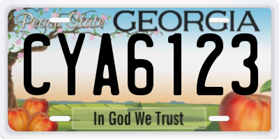 GA license plate CYA6123