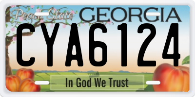 GA license plate CYA6124