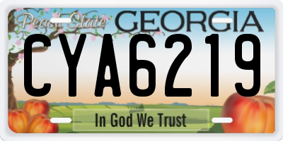 GA license plate CYA6219