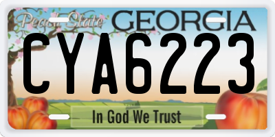GA license plate CYA6223