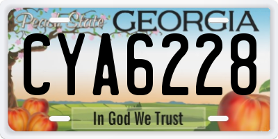 GA license plate CYA6228