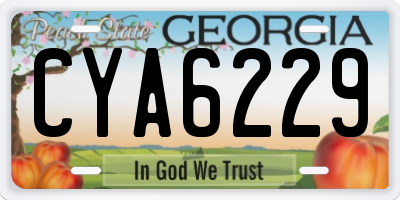 GA license plate CYA6229