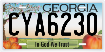 GA license plate CYA6230