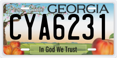 GA license plate CYA6231