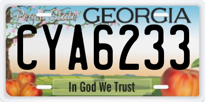 GA license plate CYA6233
