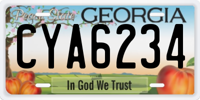 GA license plate CYA6234