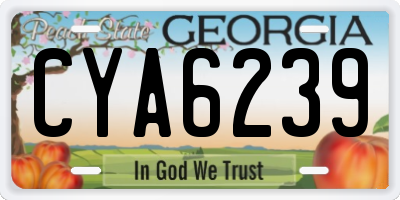 GA license plate CYA6239