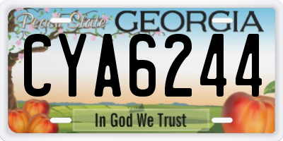 GA license plate CYA6244