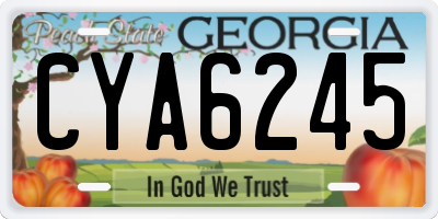 GA license plate CYA6245