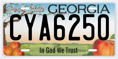 GA license plate CYA6250