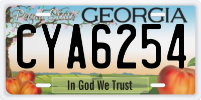 GA license plate CYA6254