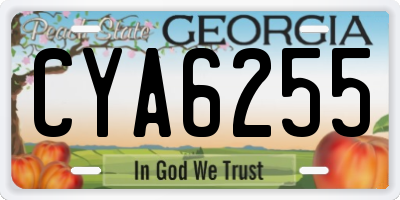 GA license plate CYA6255