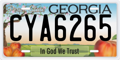 GA license plate CYA6265
