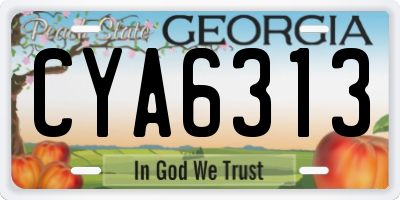 GA license plate CYA6313