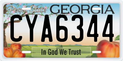 GA license plate CYA6344