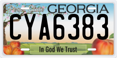 GA license plate CYA6383
