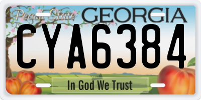 GA license plate CYA6384