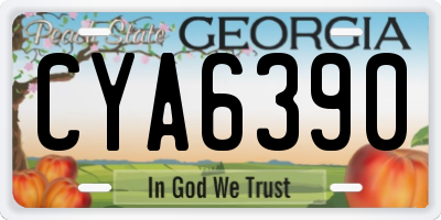 GA license plate CYA6390