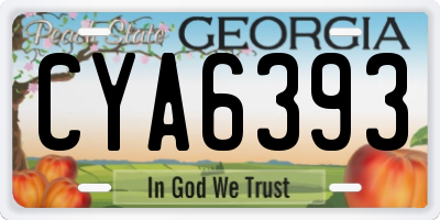 GA license plate CYA6393