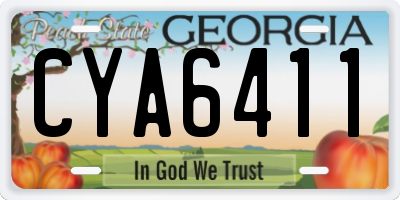 GA license plate CYA6411