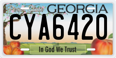 GA license plate CYA6420