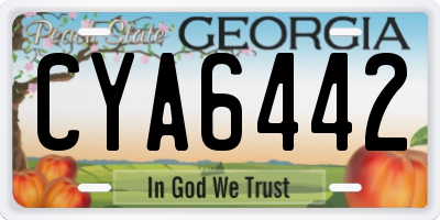 GA license plate CYA6442