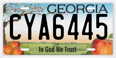 GA license plate CYA6445