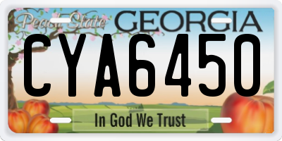 GA license plate CYA6450