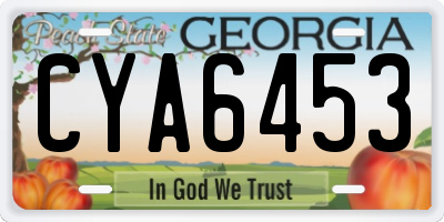 GA license plate CYA6453
