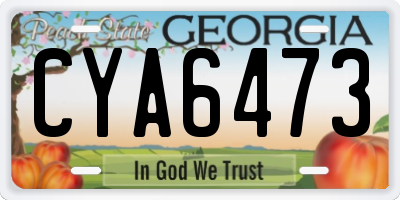 GA license plate CYA6473