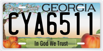 GA license plate CYA6511