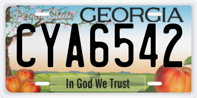 GA license plate CYA6542